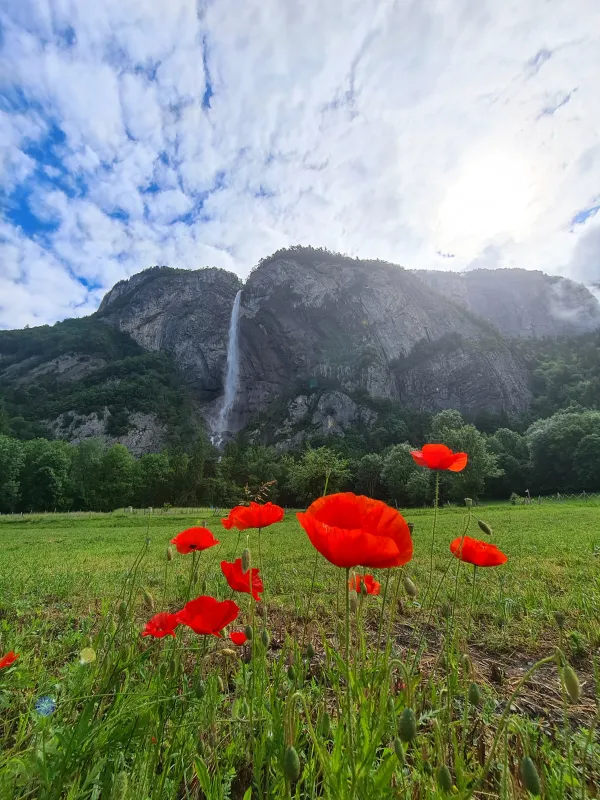 Cascade d'Arpenaz printemps