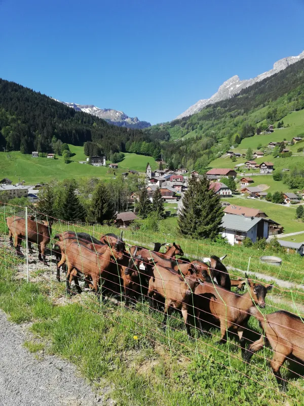 La Ferme d'en Haut