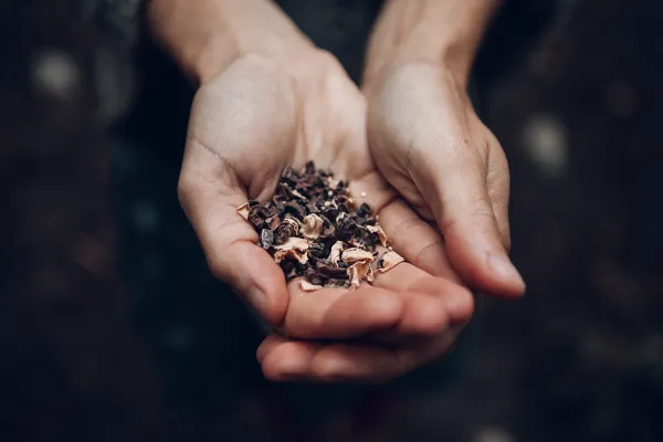 La Fête des Possibles : Rituel de gratitude pour la Terre