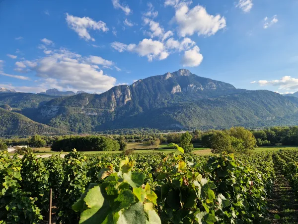 La GourmAnd’Yze – Entre vignoble, patrimoine et saveurs locales