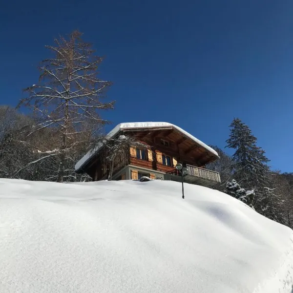 chalet