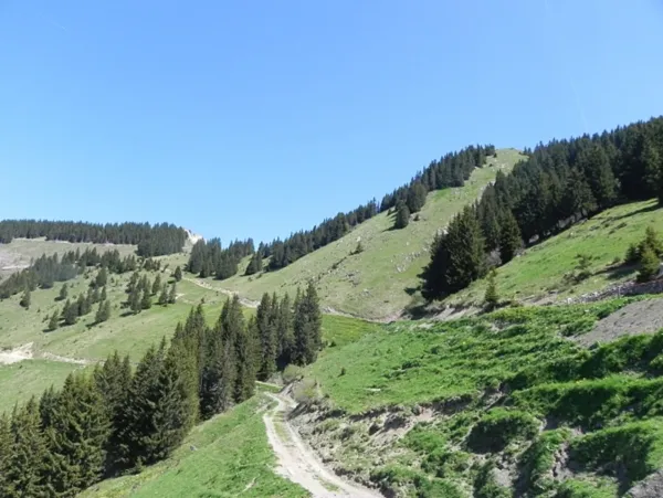 La Pointe de Recon