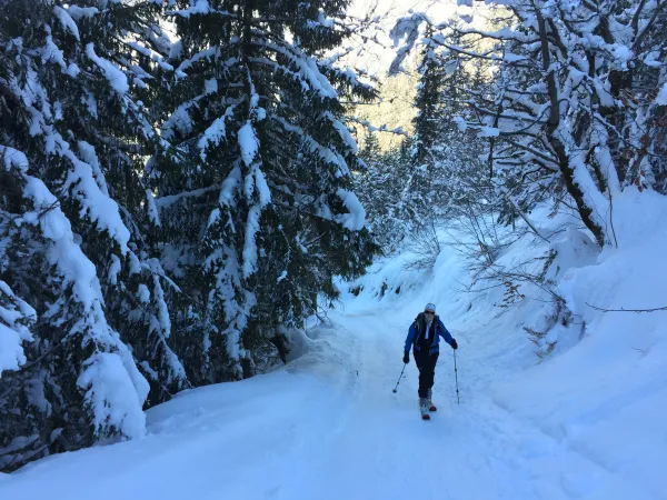 Piste de ski de randonnée : Bouquetin