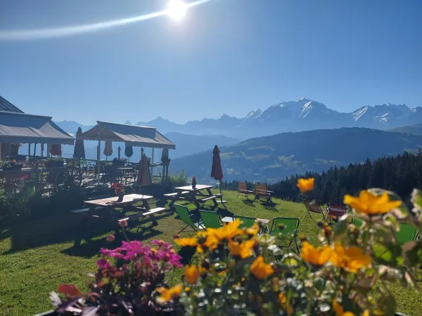 jardin vue mont-blanc