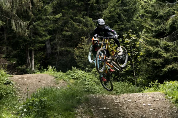 Piste VTT la Vink Line - Partie inférieure