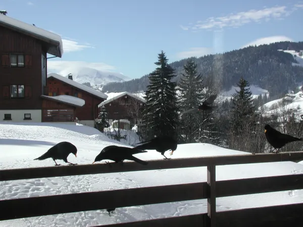 Vue hiver