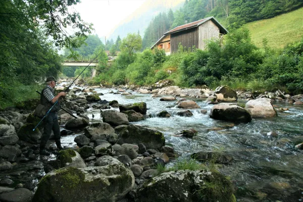 La rivière du Borne
