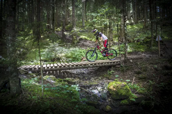 Piste VTT DH Bike Park Bernex - Bern'land