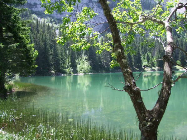 Lac Bénit
