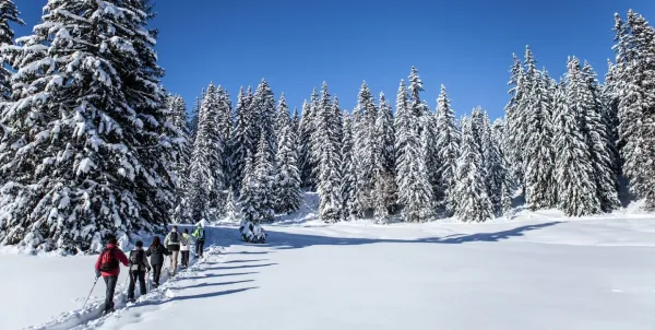 Plateau de Beauregard
