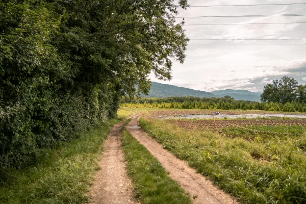 Plateau de Loëx_Bonne