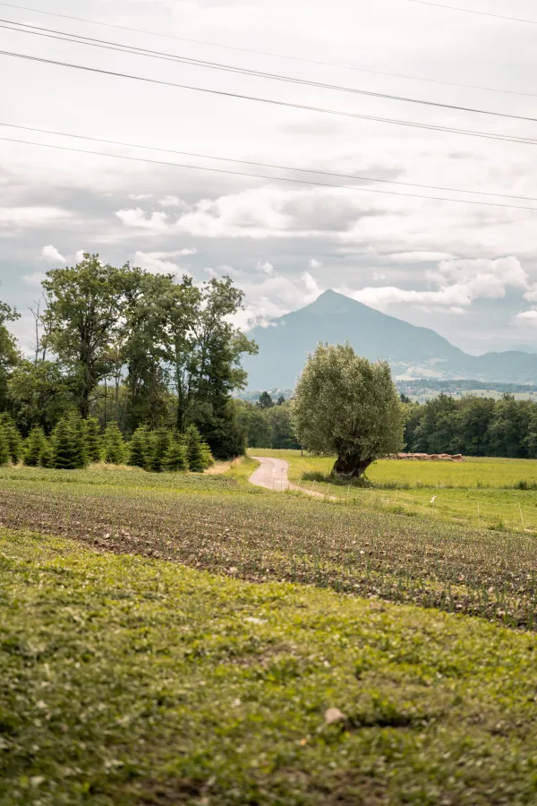 Plateau de Loëx_Bonne