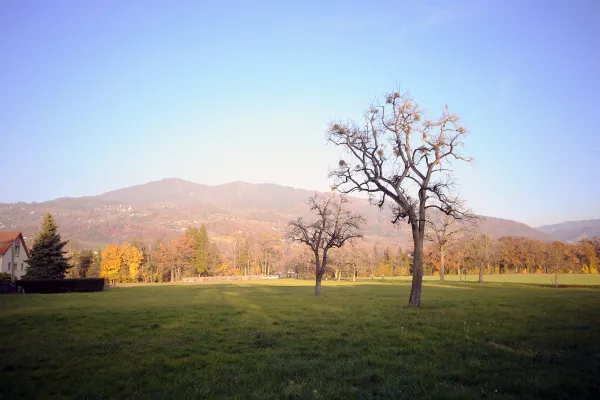 Plateau de Loëx_Bonne