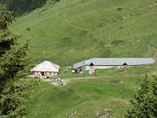 L'Alpage d'Oche
