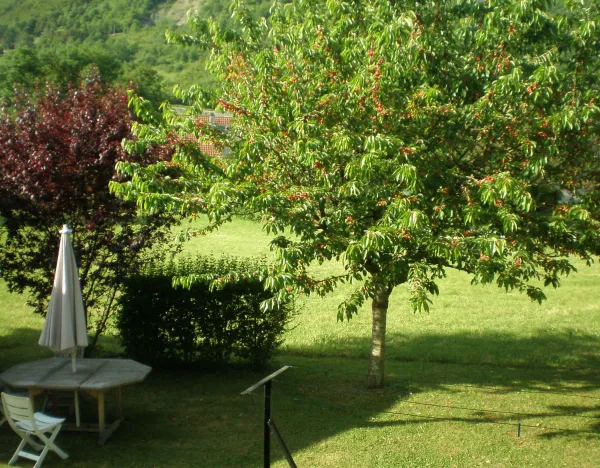 Salon de jardin