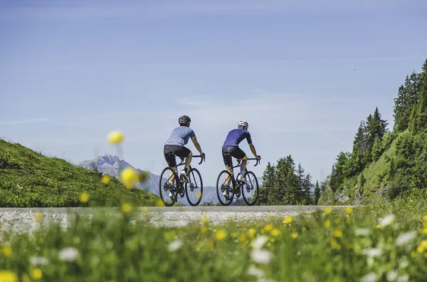Deux cyclistes de route en pleine nature l'été
