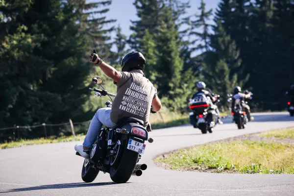 trois motards sur une route dans la forêrt
