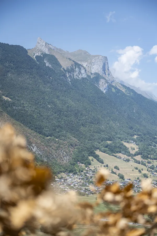 Cani'spot #8 Faverges-Seythenex - Le Crêt_Faverges-Seythenex