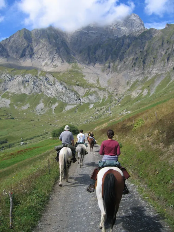 Promenades et randonnées équestres avec les Ecuries d'Antan