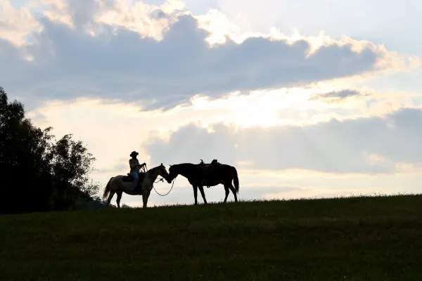 Ranch du Viéran
