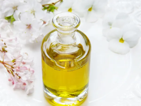 Quiz parfum