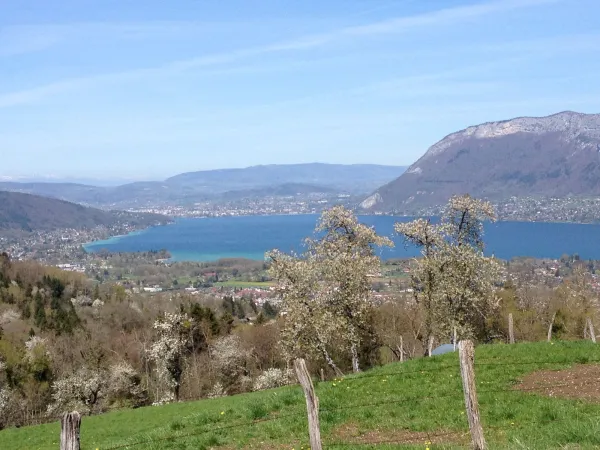Le Galta