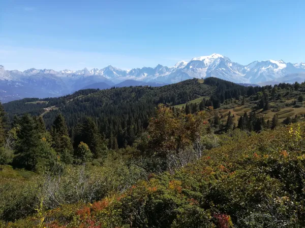 Randonnée 1/2 journée Vue sur le mont Blanc