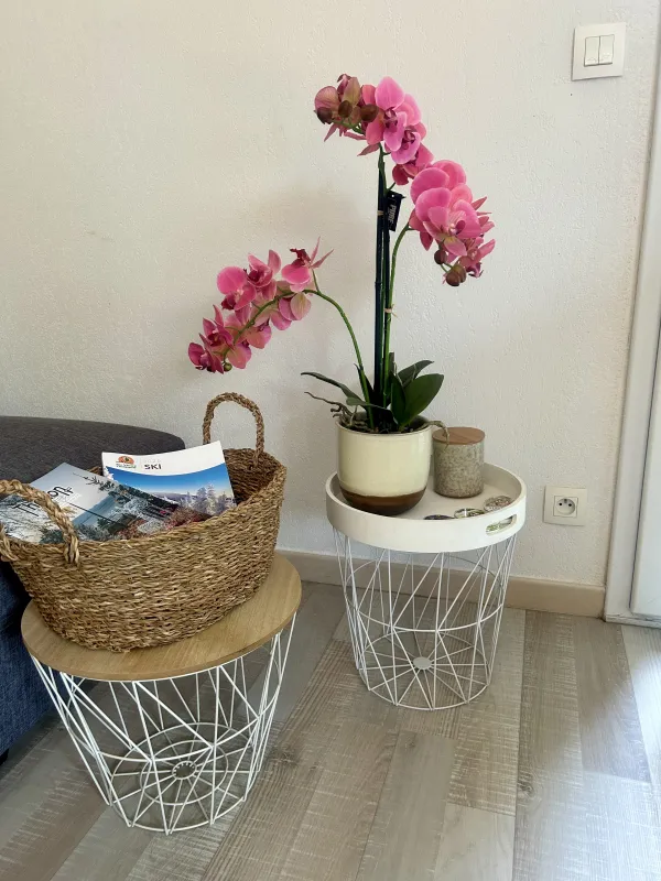 Le Happyness _Thonon-les-Bains