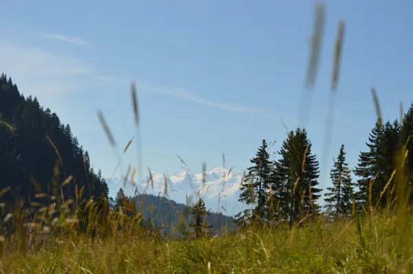 Rando'bus CHALUNE-CHAVASSE - Depuis le Praz de Lys