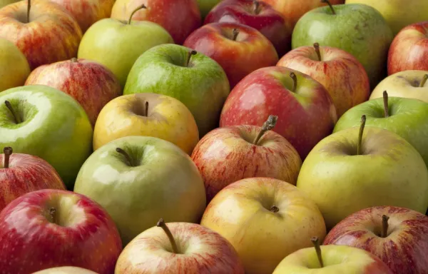 Le Meilleur du fruit