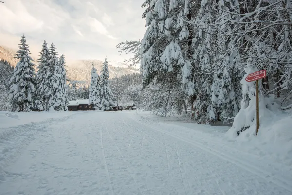 Le lac de Montriond jusqu'à Ardent