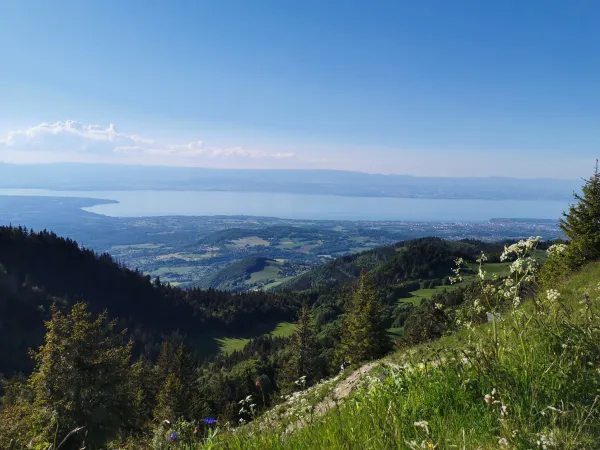 Vue sur le Lac Léman