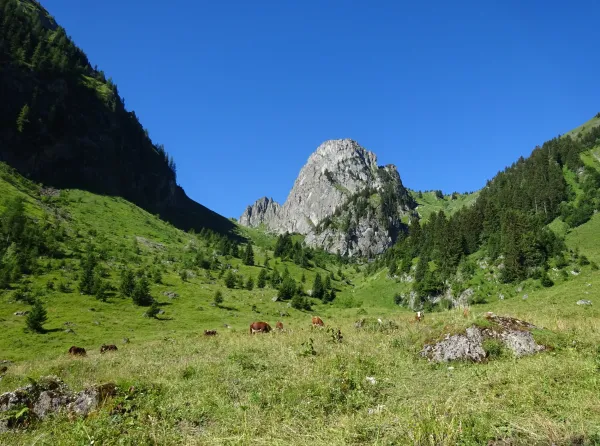 Le Mont Brion