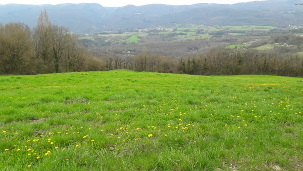 Randonnée pédestre - Le Plateau des Daines