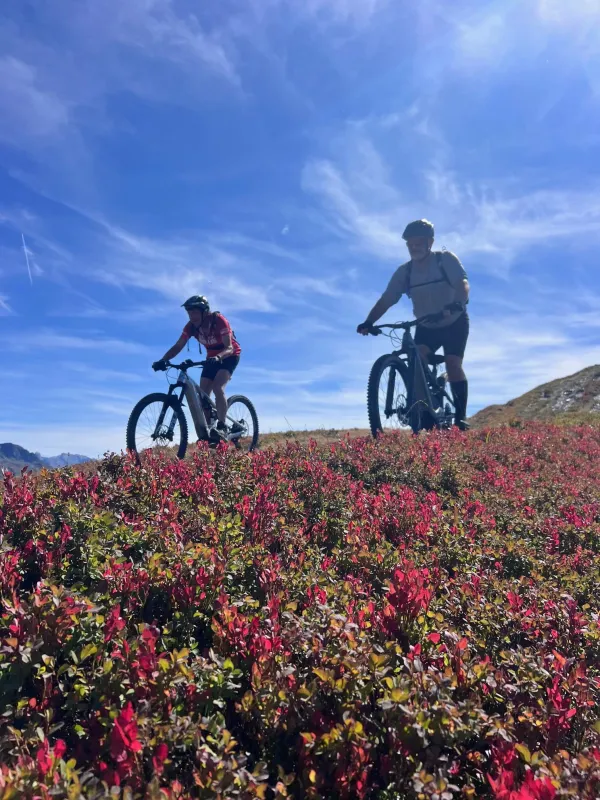 Randonnées à vélo et à VTT