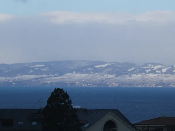 Le panoramic