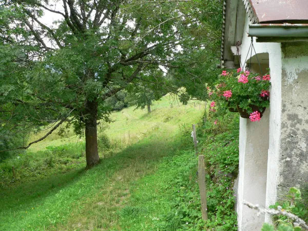 Randonnée "les Granges de Lullin"