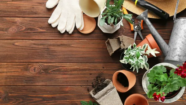 Rencontre-échanges jardin grainothèque