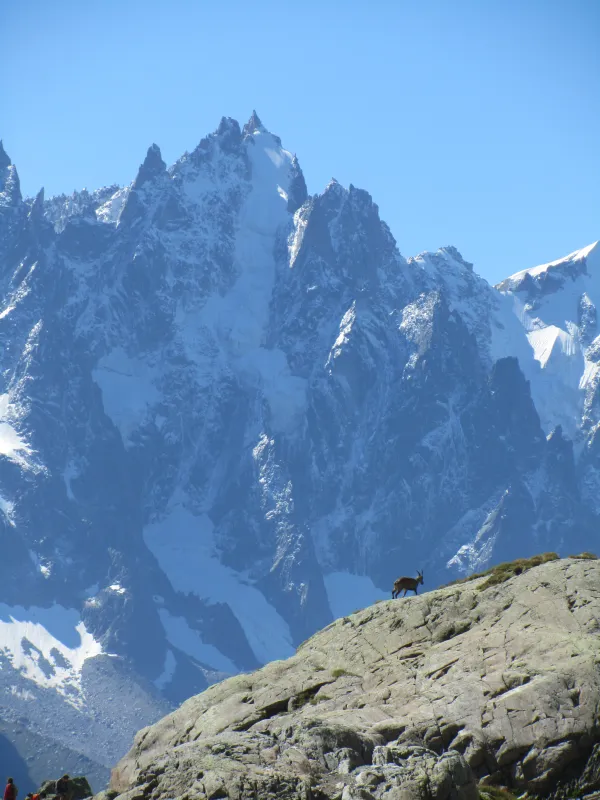 Randonnée à Praz de Lys Sommand