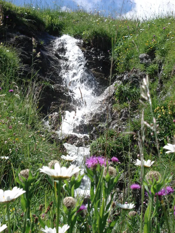 Praz de Lys Sommand en été