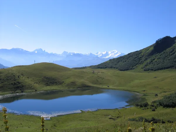 Été à Praz de Lys Sommand