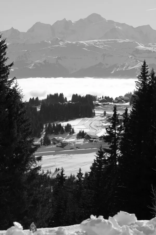 Vue sur le Mont Blanc à Praz de Lys Sommand