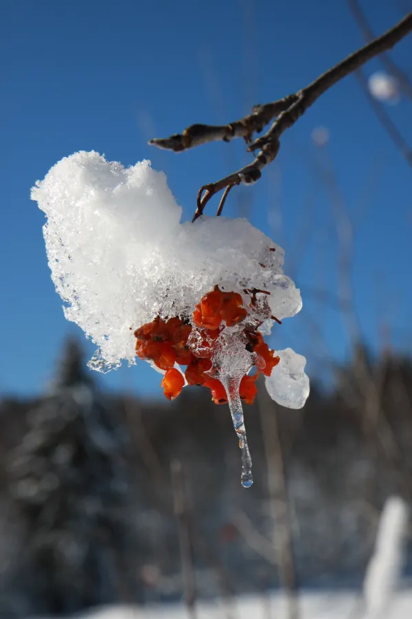 Hiver à Praz de Lys Sommand