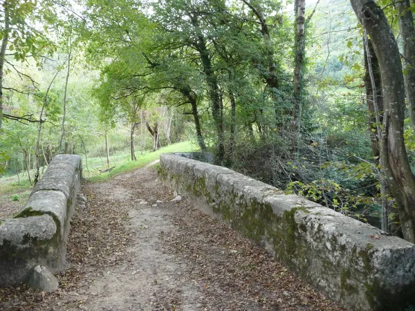 Les chemins VTT du Soleil entre Marlioz et Frangy
