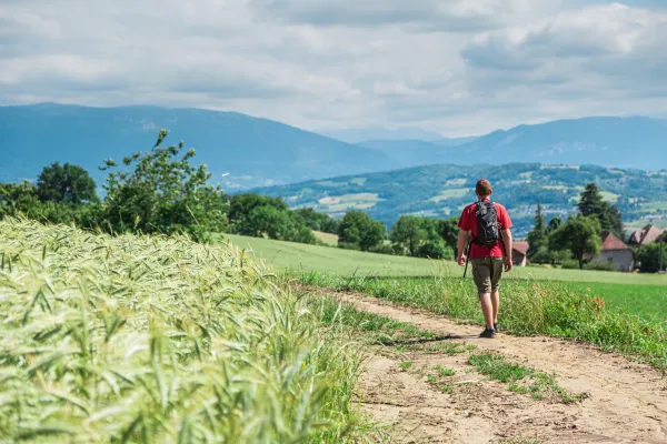 Les collines de l'Albanais : boucle n°1