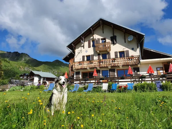 Restaurant en été