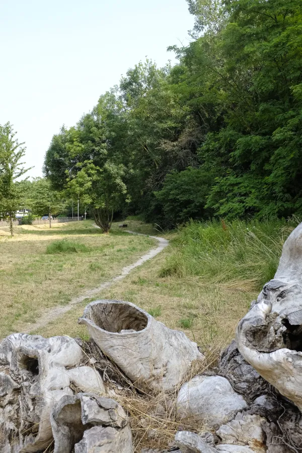 Les côteaux du Vernand_Annemasse