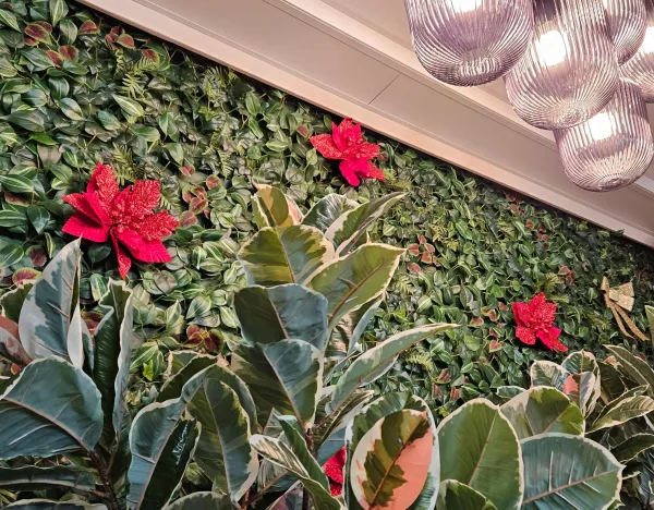 mur vegetal