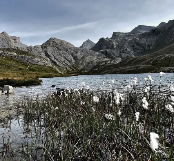 Retraites natures