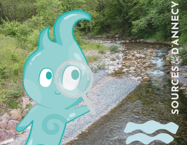 Les forces de l'eau avec Bello - carnet 6 à 12 ans